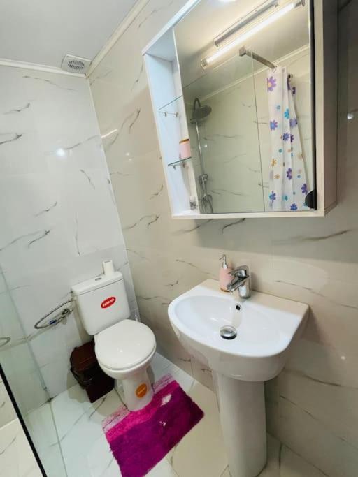 Lavender Luxury Apartment Oradea Exteriör bild