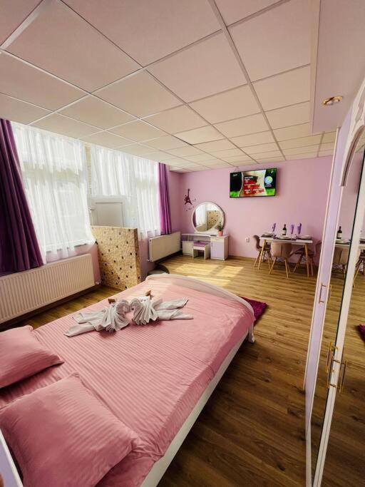 Lavender Luxury Apartment Oradea Exteriör bild